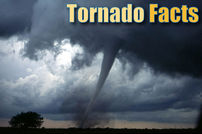 5 Fascinating Facts about Tornadoes