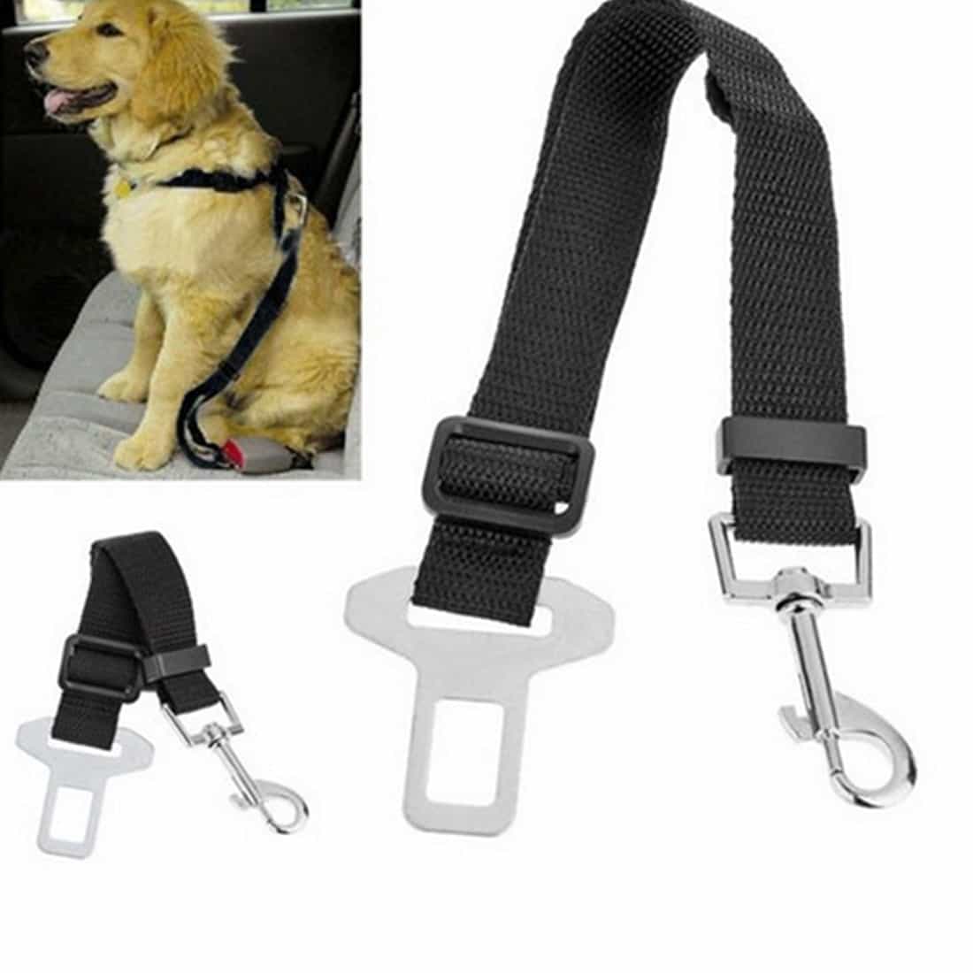 Protecting Fido: New safety standards for dog car harnesses