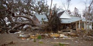 In the Path of a Hurricane: Surviving Mother Nature's Wrath