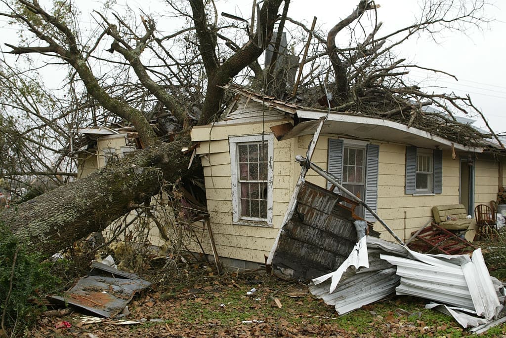 If a tree in my yard falls on neighbor's roof, does my insurance pay for the damage? What if a tree is ready to fall down on my house? Will my insurance company pay to remove the tree?