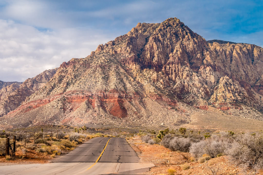 Nevada Insurance