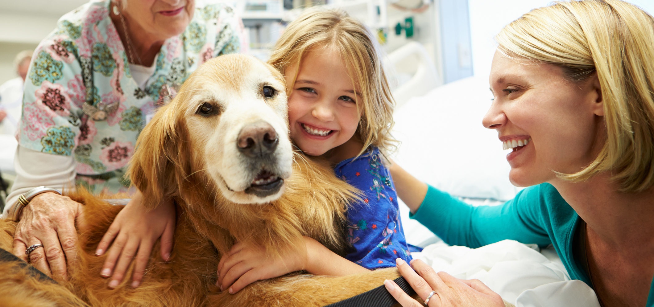 Pet insurers embrace alternative therapies