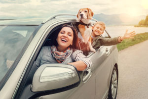 Pet passengers may raise your auto insurance premium