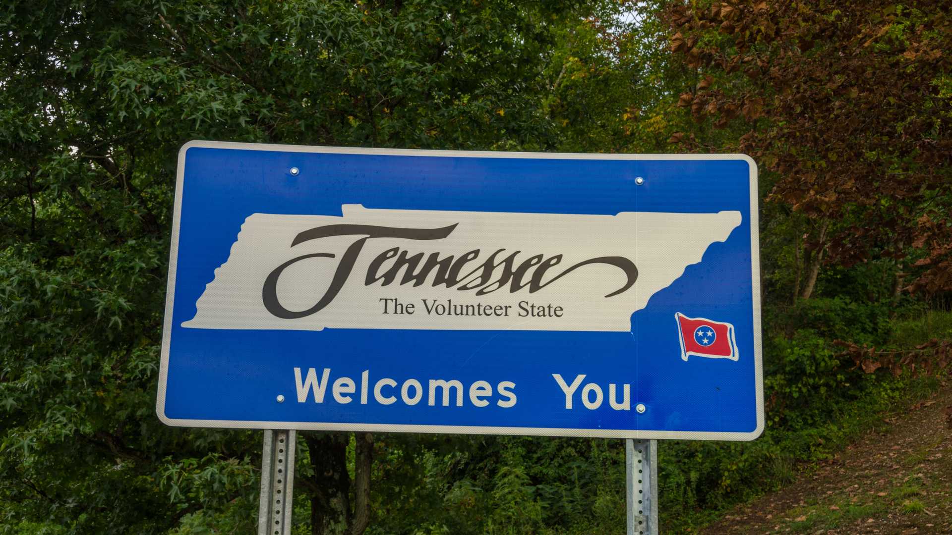 Tennessee Insurance