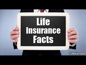 Term Life Insurance Facts